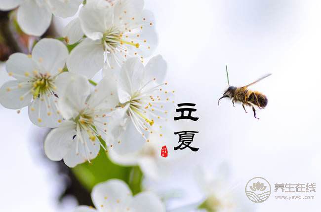 初夏五月、飲食起居養(yǎng)生大法,了解一下 初夏五月、飲食起居養(yǎng)生大法,了解一下