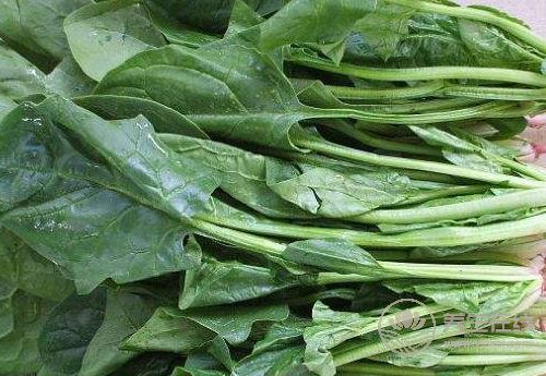 春季多吃這4種蔬菜，能補氣血，面色紅潤