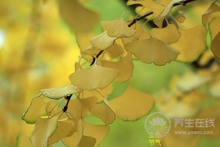 2018年立冬是幾月幾號? 2018年立冬是幾月幾號?