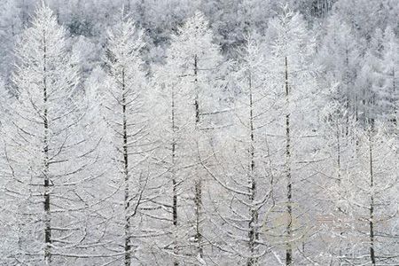 大雪節(jié)氣調(diào)理身體非常重要 大雪節(jié)氣調(diào)理身體非常重要