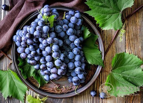 男人春季腎虛,沒關系,三種水果恢復戰斗力 男人春季腎虛,沒關系,三種水果恢復戰斗力