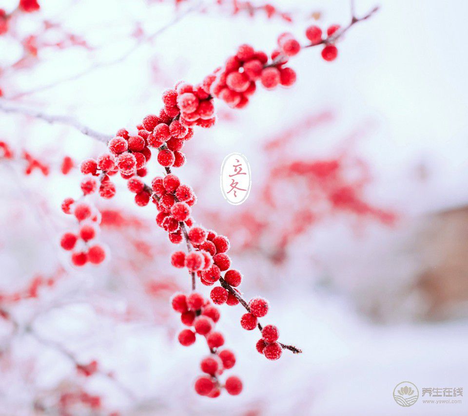 立冬和冬至的習俗有啥區別