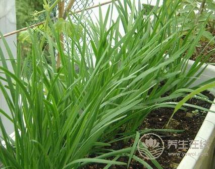 提高抵抗力病毒不入侵!春天提升免疫力的10大好食材 提高抵抗力病毒不入侵!春天提升免疫力的10大好食材