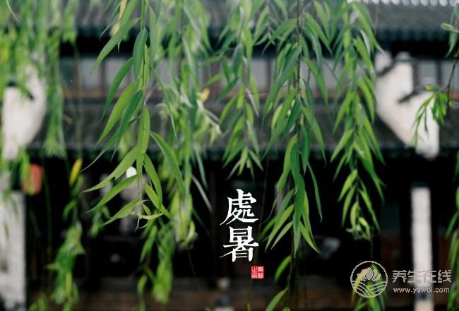 2017年二十四節氣—處暑 處暑是什么? 2017年二十四節氣—處暑 處暑是什么?