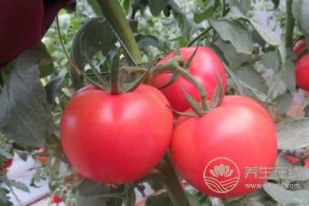 兒童春季吃什么好? 兒童春季吃什么好?