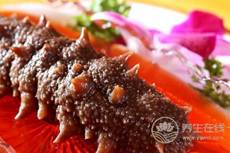 春季吃海參好嗎 春季吃海參好嗎