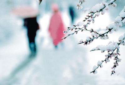 小雪節(jié)氣后適合吃溫潤益腎的食物 小雪節(jié)氣后適合吃溫潤益腎的食物