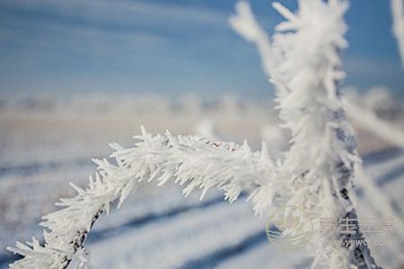 大雪節日如何養生?
