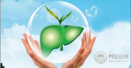 春夏養好肝,健康一整年!護肝食譜趕緊收藏~ 春夏養好肝,健康一整年!護肝食譜趕緊收藏~