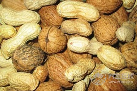 春季吃哪些堅果好? 春季吃哪些堅果好?