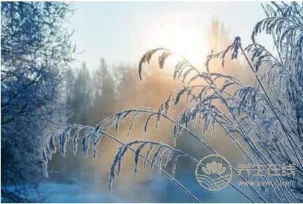 冬至的歷史淵源是什么? 冬至的歷史淵源是什么?