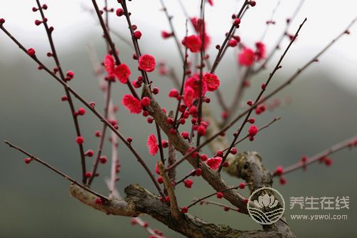 南方“倒春寒”來(lái)襲 如何應(yīng)對(duì)不生病