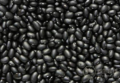 這幾種食物很養生,秋季,女人可常吃 這幾種食物很養生,秋季,女人可常吃