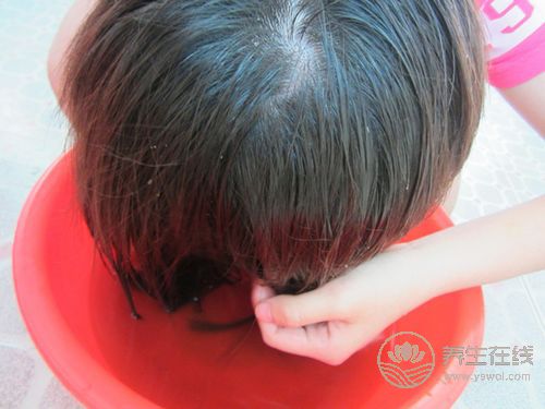 秋季愛脫發(fā)?用桑葉水洗頭可防治脫發(fā) 秋季愛脫發(fā)?用桑葉水洗頭可防治脫發(fā)