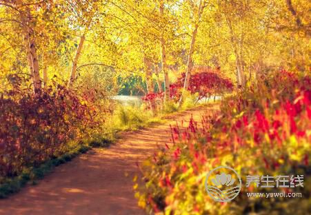 秋季出行的注意事項(xiàng)您了解多少 秋季出行的注意事項(xiàng)您了解多少