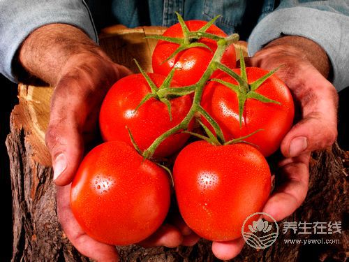 男人夏季想要補陽氣?5種食物一定得吃 男人夏季想要補陽氣?5種食物一定得吃