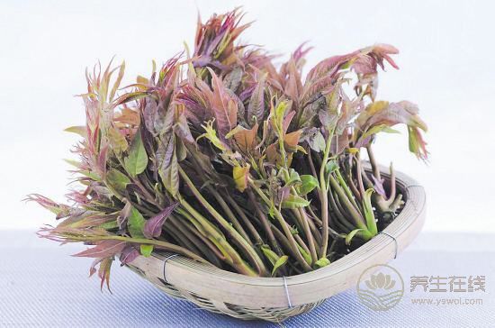 春季養生哪家強,蔬菜水果來幫忙 春季養生哪家強,蔬菜水果來幫忙