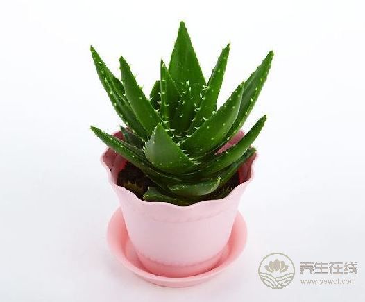 2017年二十四節氣—處暑 處暑是什么? 2017年二十四節氣—處暑 處暑是什么?