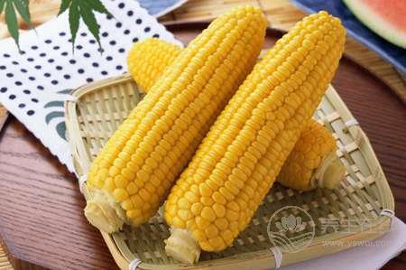 當(dāng)秋養(yǎng)生吃玉米