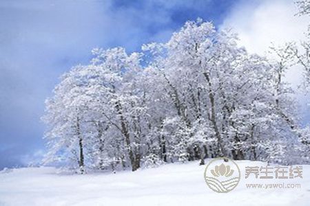 怎樣預防冬季流感?