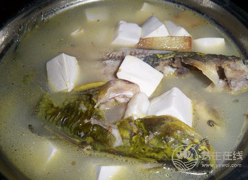 青春期少女,吃什么乳房發育好 青春期少女,吃什么乳房發育好