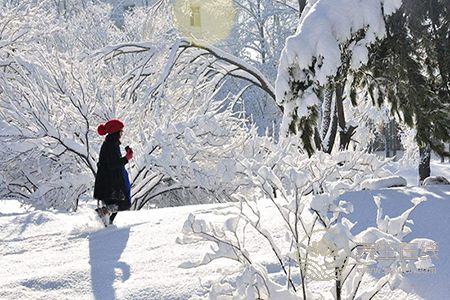 怎樣預防冬季流感?