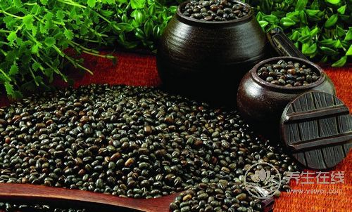 秋吃黑治腎虧 補腎必吃5食物