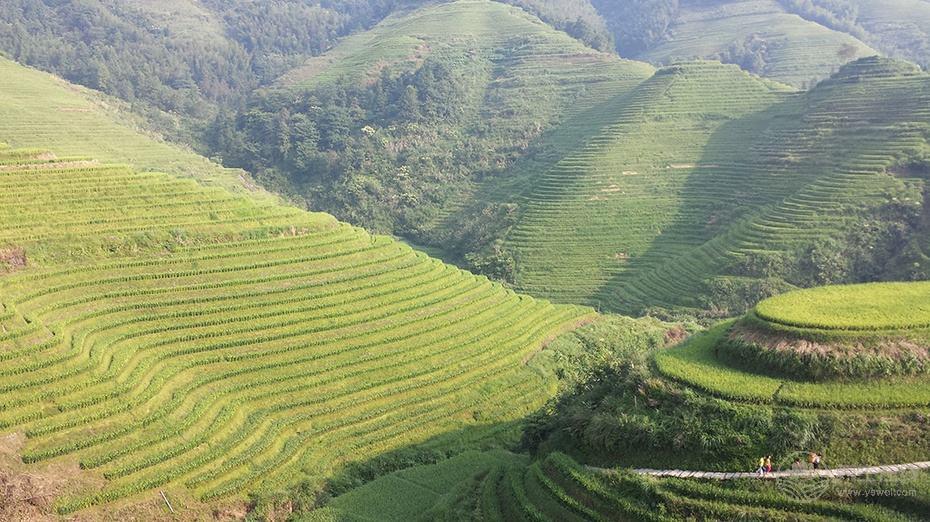 性事積極也是秋季養(yǎng)生之道？這15件事能做到一半你的身體不會太差