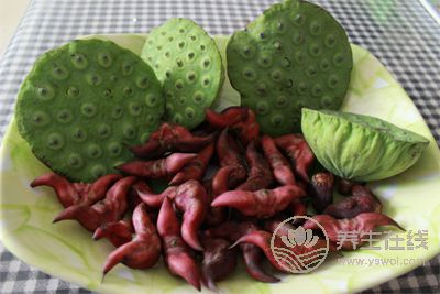 秋季養(yǎng)人要吃好“水下三寶”