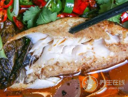 春季吃魚有什么好處，三種魚可補肝益腎