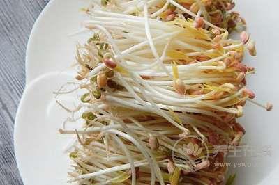 節氣養生 | 小暑養生飲食有三寶 黃鱔蓮藕綠豆芽