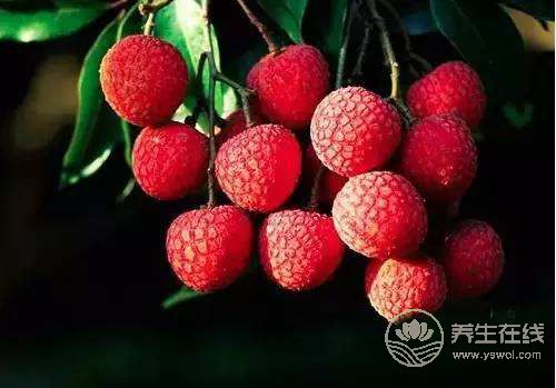 大暑節氣養生 防濕熱防中暑