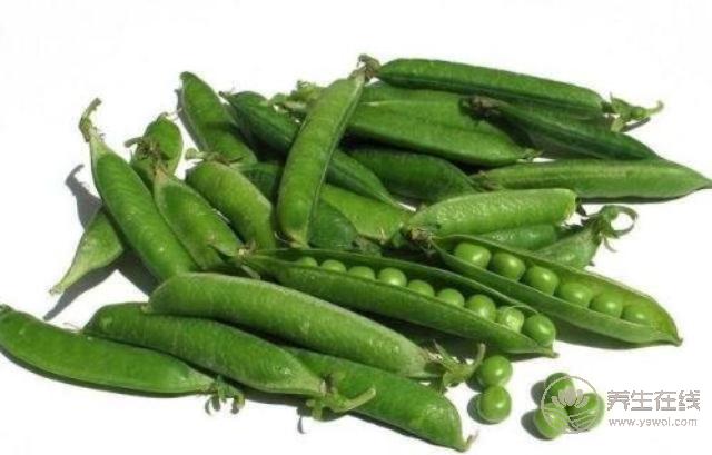 初夏養生吃什么？美食小編告訴您…