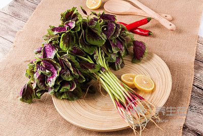 夏日減肥,時令蔬菜來助攻 夏日減肥,時令蔬菜來助攻