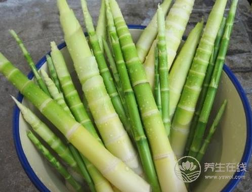 提高抵抗力病毒不入侵!春天提升免疫力的10大好食材 提高抵抗力病毒不入侵!春天提升免疫力的10大好食材