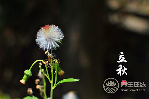 立秋后,這種東西就不能再吃了,當(dāng)心 立秋后,這種東西就不能再吃了,當(dāng)心