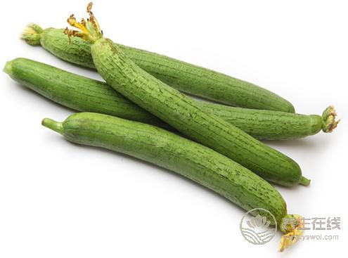 夏季保濕敗火,中醫(yī)教你絲瓜怎么吃 夏季保濕敗火,中醫(yī)教你絲瓜怎么吃