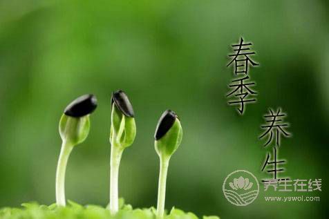 春季養陽 飲食宜忌需清楚 春季養陽 飲食宜忌需清楚