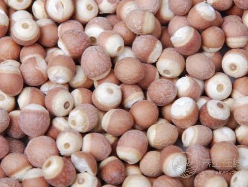 夏季養生 莫忘“水中四寶”! 夏季養生 莫忘“水中四寶”!