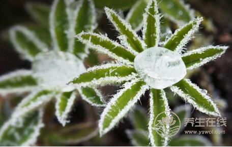 霜降時節哪些疾病易復發? 霜降時節哪些疾病易復發?