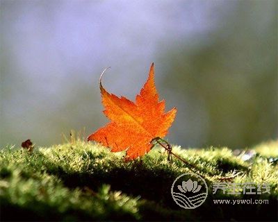 立秋吃蜜不吃姜,多吃水果少食瓜 立秋吃蜜不吃姜,多吃水果少食瓜