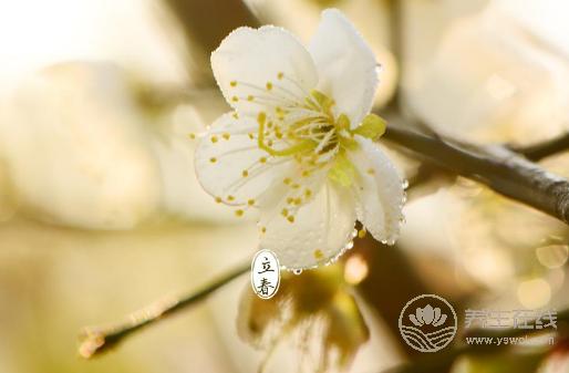 2018年立春具體時間？2018年立春是幾月幾號星期幾？