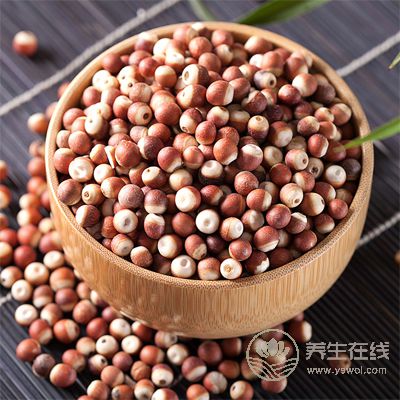 秋季養(yǎng)人要吃好“水下三寶”