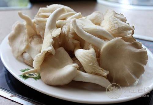 秋季多吃菌類,營養豐富,對身體好處多多 秋季多吃菌類,營養豐富,對身體好處多多