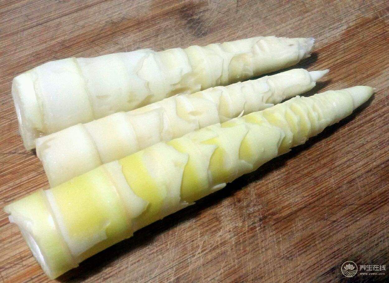 冬筍和春筍的區別? 冬筍和春筍的區別?