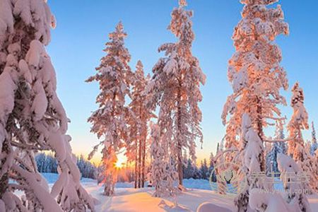 大雪節日如何養生?