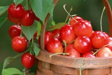 大寒節氣吃什么蔬菜水果好呢? 大寒節氣吃什么蔬菜水果好呢?