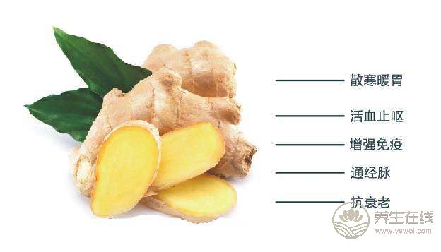 夏季要多吃姜,但不是人人合適 夏季要多吃姜,但不是人人合適