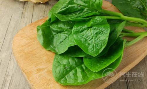 秋冬不生病，立秋多吃4種祛濕蔬菜