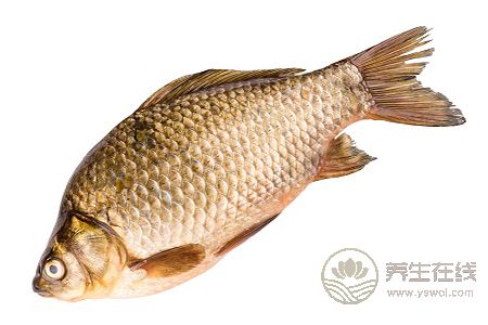 夏季該怎樣養心呢? 夏季該怎樣養心呢?